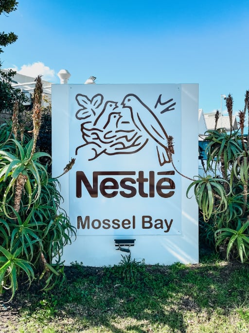 Nestle 13